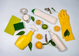 Ekološki aspekt dubinskog čišćenja – čisto i bezbedno 1 Mr. Cleaner 2